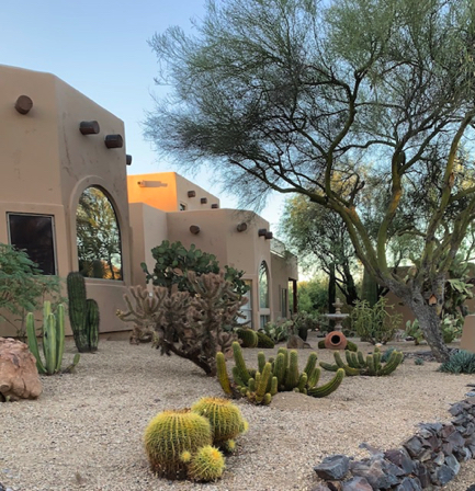 Aug 5 - A yard in the secret neighborhood off Skyline. I especially like the clay pot and fountain. Peaceful.